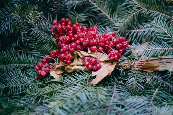 Ветви ели и viburnum Рождественское украшение — стоковое фото