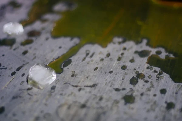 Hielo en zumo de naranja derramado —  Fotos de Stock