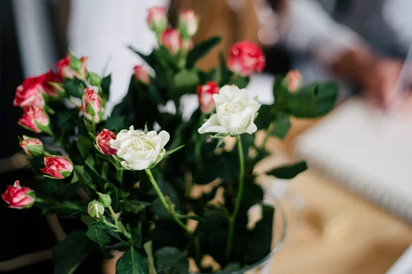 Rózsaszín rózsa vázában, gyönyörű krém — Stock Fotó