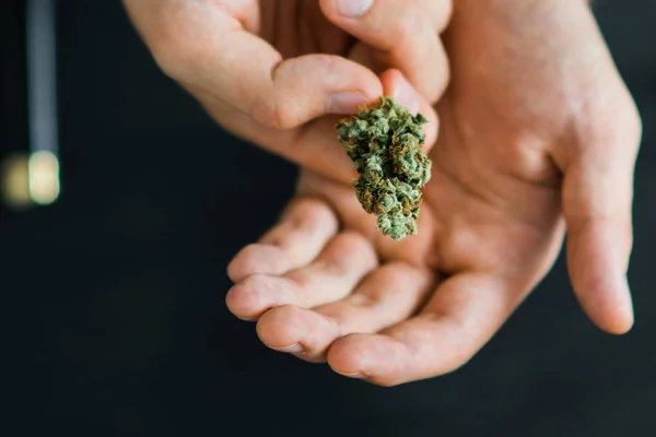 Em Hands of a man medicinal marijuana, cannabis, Bong and thc flower Sativa and Indica Close up on a black background. lifestyle Concebe a legalização da maconha no mundo e nos Estados Unidos — Fotografia de Stock