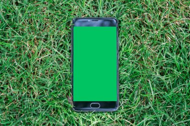 Smartphone için anahtar chroma ekran yeşil ekran ile. Yeşil çim zemin üzerine