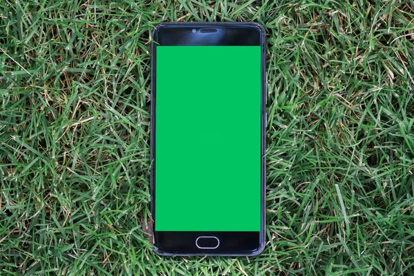 smartphone with green screen for key chroma screen. on Green grass background smartphone with