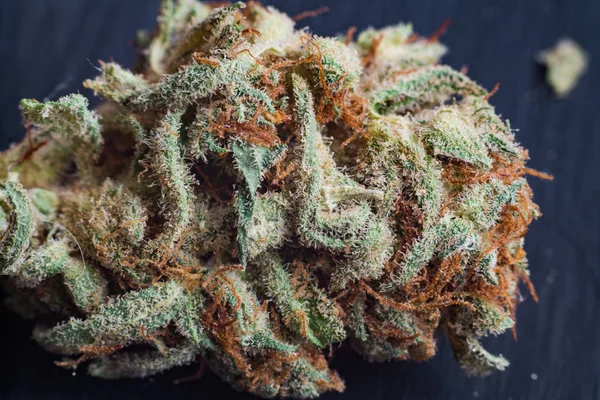 Marihuana, cannabis macro tricomas thc flor Sativa crítica nunca neblina. Efecto de enfoque superficial . — Foto de Stock