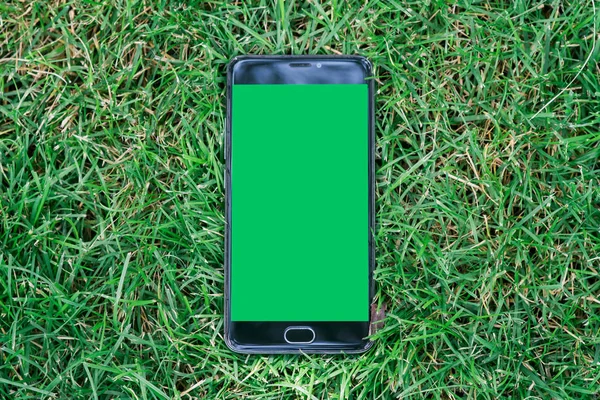 yakın çekim smartphone anahtar chroma ekran için yeşil ekran ile. Yeşil çim zemin üzerine