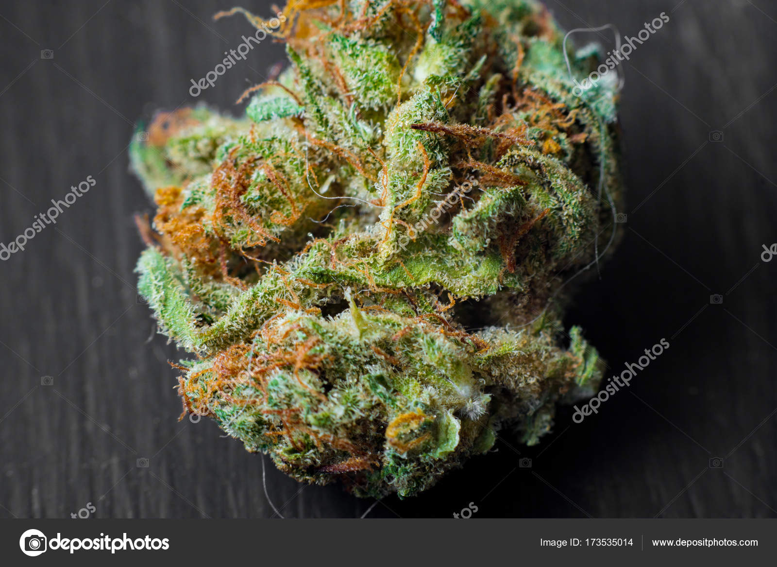 depositphotos_173535014-stock-photo-macro-photos-of-marijuana-harvest.jpg