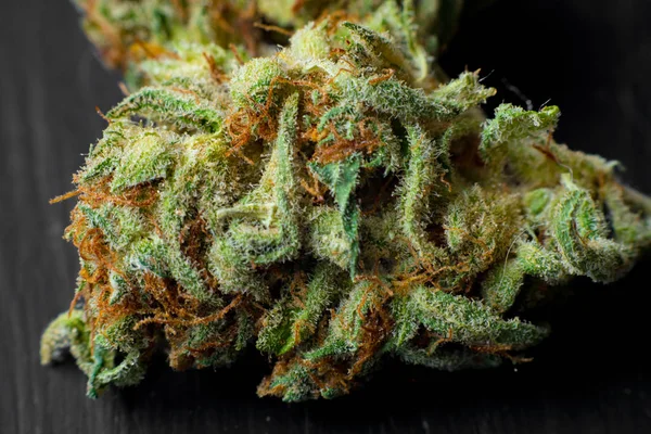 Макрофотографии конусов сбора марихуаны с листьями, покрытыми трихомами. Растение каннабис . — стоковое фото
