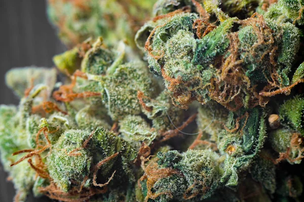 Macro fotos de conos de cosecha de marihuana con hojas cubiertas con tricomas. La planta de cannabis clse view . — Foto de Stock