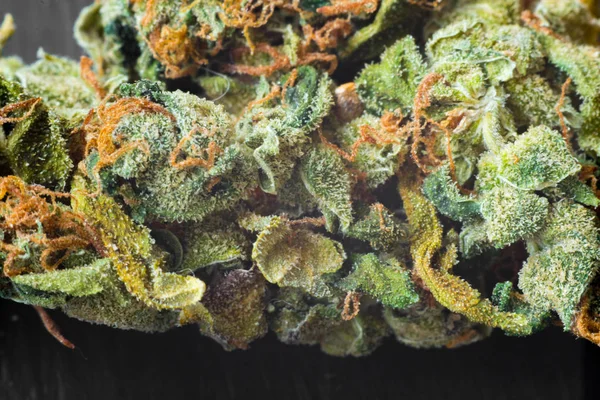 Макрофотографии конусов сбора марихуаны с листьями, покрытыми трихомами. Растение каннабис . — стоковое фото
