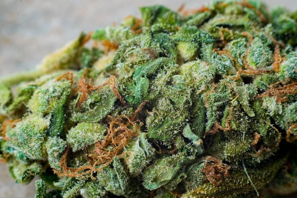 マリファナのマクロ写真は、毛で覆われた葉とコーンを収穫します。大麻植物 clse ビュー. — ストック写真
