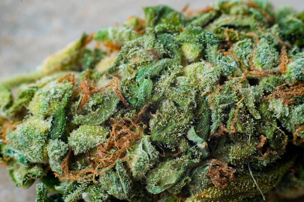 Macro photos of marijuana harvest cones with leaves covered with trichomes. The cannabis plant clse view. — Stock Photo, Image