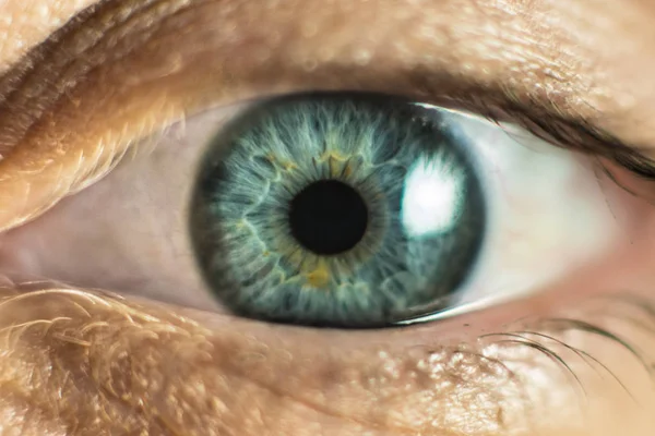 İnsan kadın gözü makro. Closeup çekim kadın gri - mavi renk göz gün ile