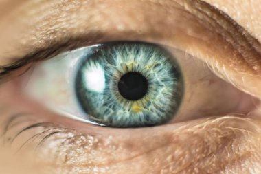 İnsan kadın gözü makro. Closeup çekim kadın gri - mavi renk göz gün ile