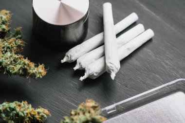 Esrar ortak esrar otu çiçek trichomes ölçeklerde ile makro