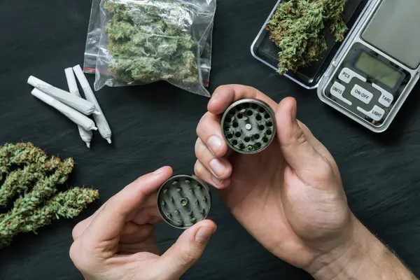 Grinder for cannabis grinding in the hands of a man against the background of a large number of fresh marijuana bads and joint — Stock Photo, Image