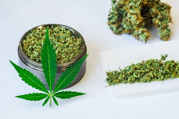 Blad av cannabis, knoppar av marijuana, gemensamma och en kvarn med krossade ogräs på en vit bakgrund upprullad ogräs — Stockfoto