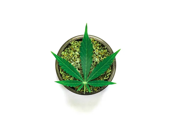 짓 눌린된 잡 초 흰색 배경 평면도에 마리화나 잎을 분쇄기 닫기 — 스톡 사진