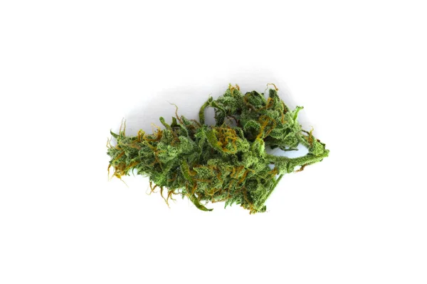 白色背景上的大麻芽顶视图 — 图库照片