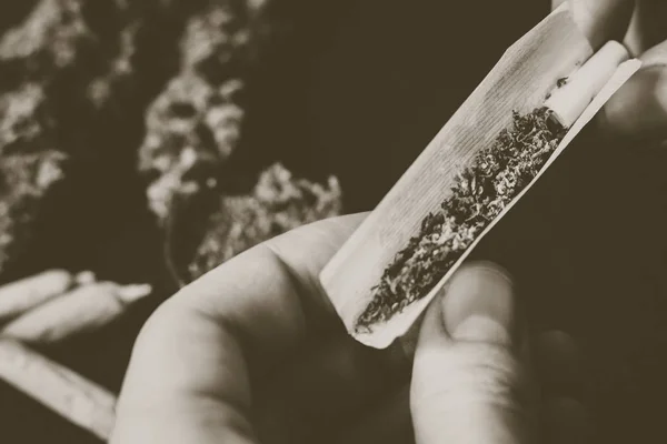 Не повністю загорнутий джемб-зв'язок в руках чоловіка марихуани бур'ян Вінтажний колір — стокове фото