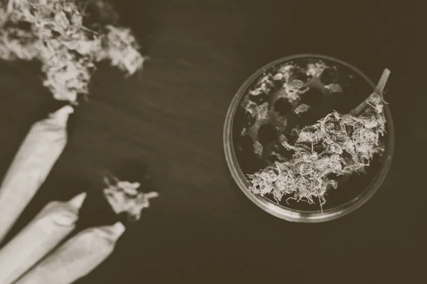 Подрібнювач для подрібнення бур'янів конопель і квітки марихуани на Вінтажний колір — стокове фото
