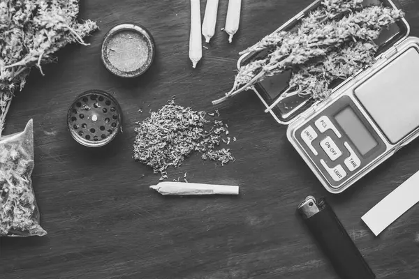 Conos de flores de marihuana en escamas, molinillo y triturado de cannabis blanco y negro — Foto de Stock