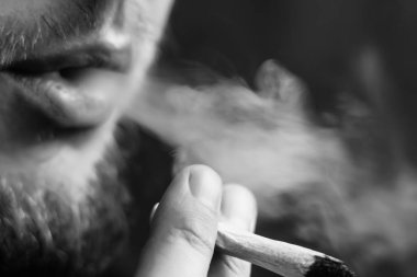 Esrar ot, onun ellerini A adam ortak bir çekiyor. Siyah bir arka plan üzerinde duman. Tıbbi esrar kullanım ve yasallaştırma esrar kavramları. Siyah ve beyaz