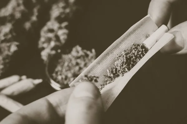 Inte helt rullade karmen joint i händerna på en man marijuana weed Vintage färg — Stockfoto