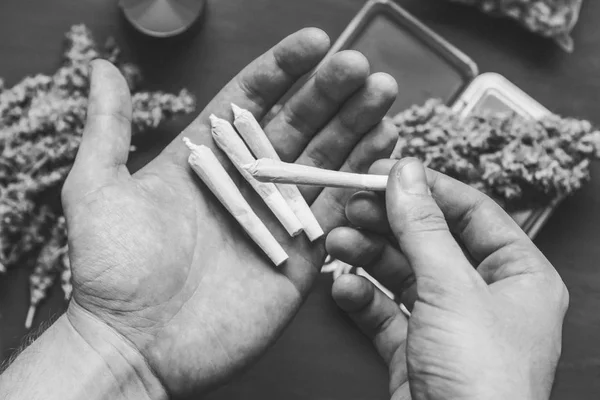 Gemensamma med cannabis marijuana i händerna på en man mot cannabis svartvit — Stockfoto