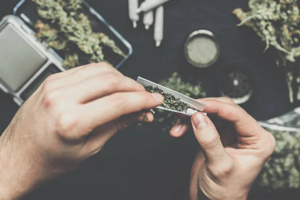 O homem rolou a junta de maconha fresca erva daninha,? conceitos de botões cannabis cor vintage — Fotografia de Stock