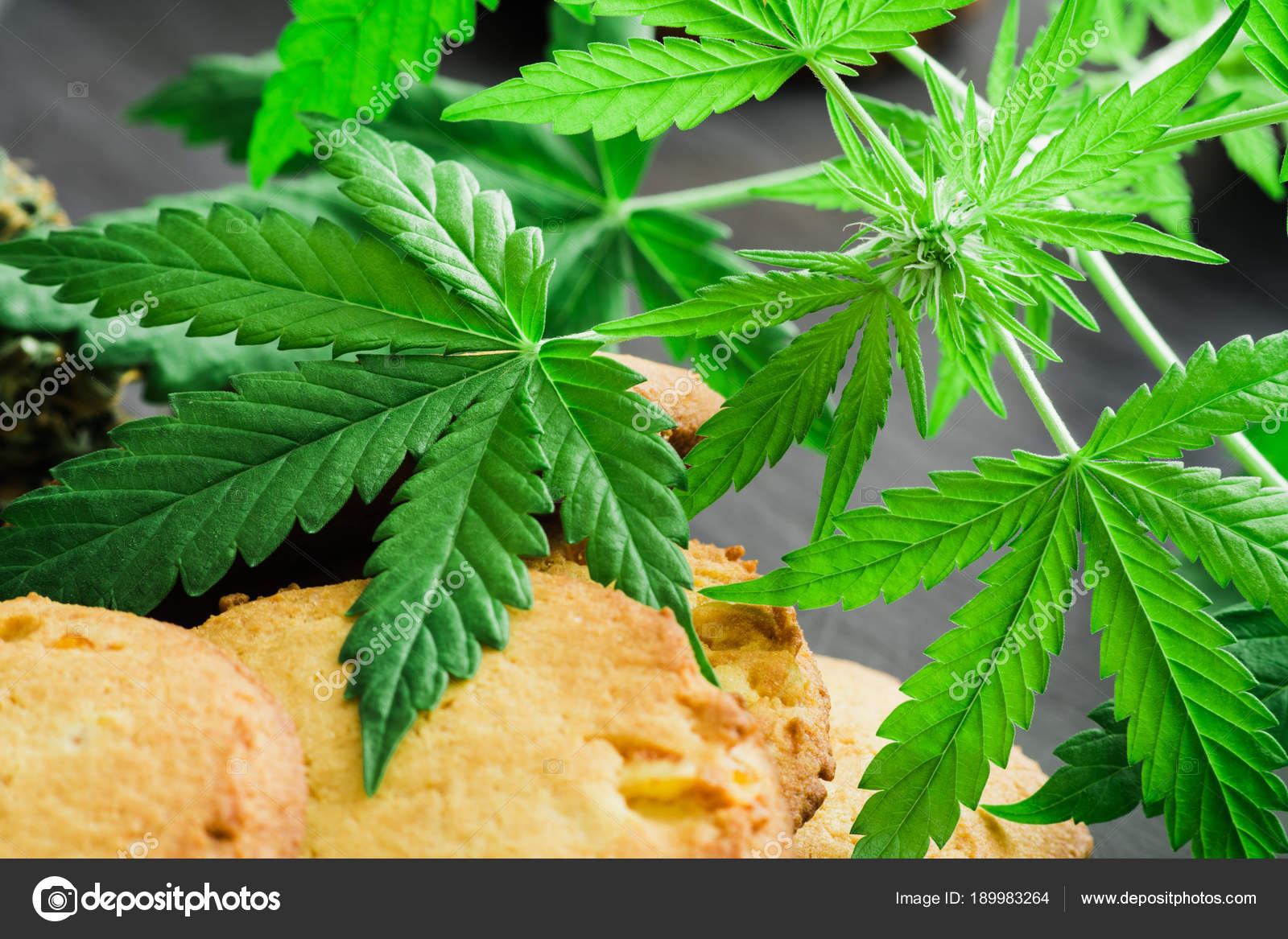 Leaves Of Cannabis With Cookies Cannabis And Buds Of Marijuana On The Table A Can Of Cannabis Buds Concept Of Cooking With Cannabis Herb Treatment Of Medical Marijuana For Use In Food