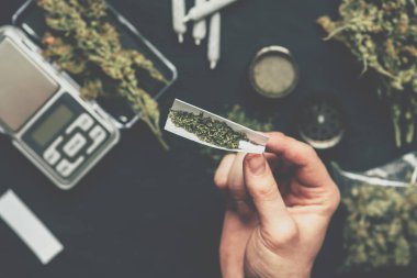 Adam ortak taze esrar otu, haddelenmiş-? oncepts tomurcukları esrar vintage renk