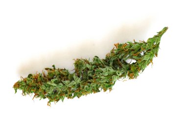 izole esrar bud üst üzerinde izole beyaz arka plan görüntülemek