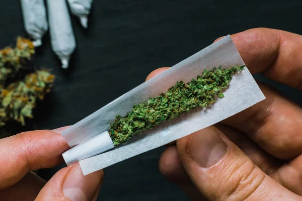 Não totalmente rolou articulação jamb nas mãos de um homem maconha erva O conceito de legalização da maconha e o uso de cannabis para fins medicinais — Fotografia de Stock