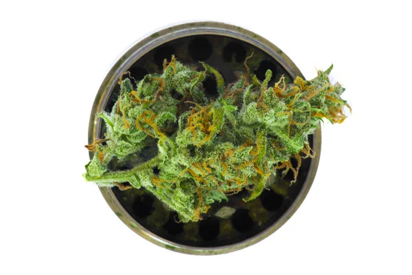 Geïsoleerde Metallic grijze grinder met toppen van marihuana, onkruid cannabis — Stockfoto