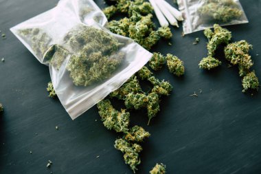 Esrar bud esrar esrar esrar çiçek trichomes ile makro