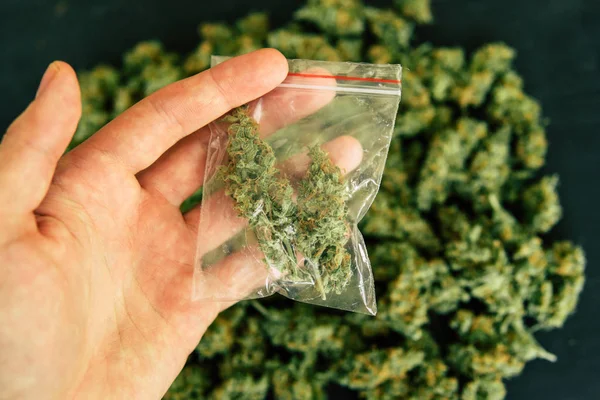 Un traficante de drogas pesa marihuana flor de cannabis en un concepto de la balanza de legalización de hierbas hierba hierba —  Fotos de Stock