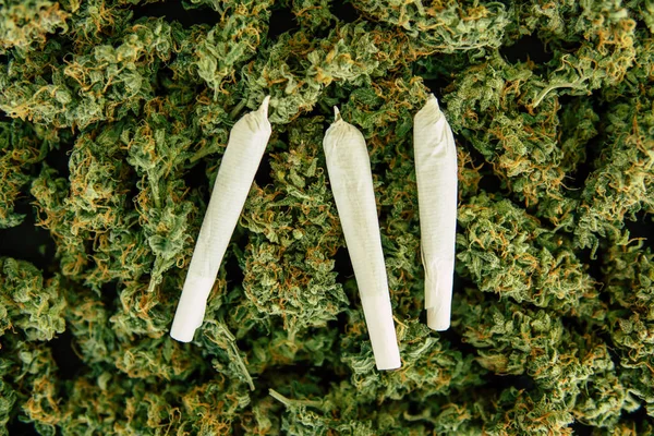Articulaciones y Antecedentes de los brotes de cannabis, marihuana flor hierba top view copy spase —  Fotos de Stock