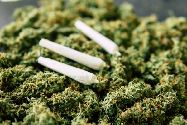 Совместное и фон почки конопли, марихуаны цветок сорняк вид сверху копия спаза — стоковое фото