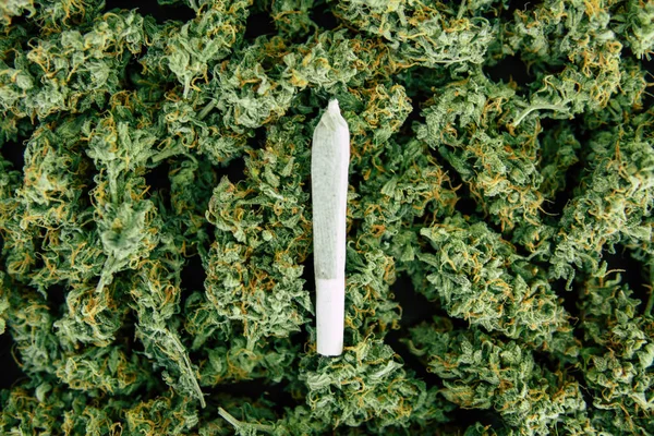 Articulación y Antecedentes de brotes de cannabis, marihuana flor hierba top view copy spase —  Fotos de Stock