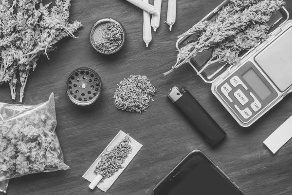 Cones of marijuana flowers on scales, grinder and shredded cannabis black and white — Stock Photo, Image