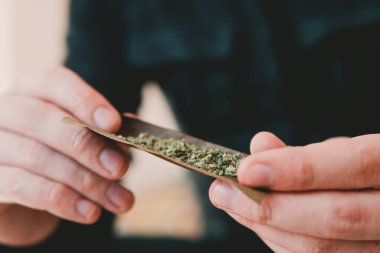 Esrar hazırlayan ve yuvarlayan adam Blunt. Marihuanayı çakmakla yakmaya başla..