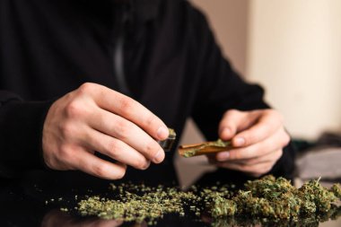 Marihuana hazırlayan ve yuvarlayan adam. Esrar saran bir adam.