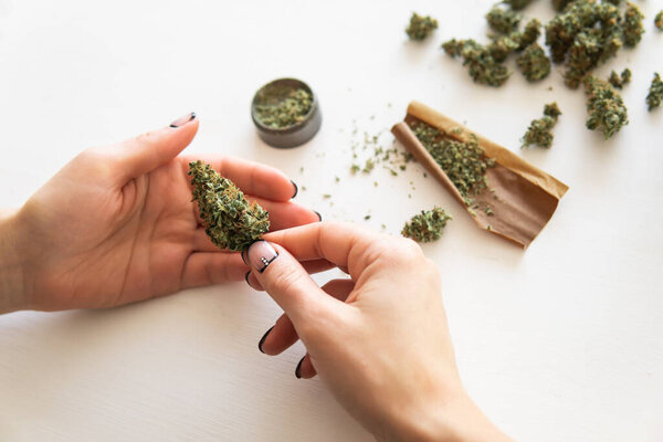 Woman preparing and rolling marijuana cannabis joint. Close up of marijuana blunt with grinder. marijuana use concept.