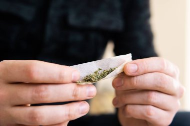Marihuana hazırlayan ve yuvarlayan adam. Uyuşturucu kullanımı. Kapat. .