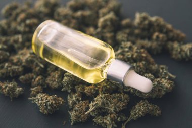 Pipette esrar yağı, marihuana esrarı konsepti, CBD tıbbi yağ, makro,