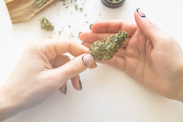 Woman rolling a cannabis blunt on white background. Close up of marijuana blunt with grinder. Woman preparing and rolling marijuana cannabis joint. marijuana use concept. Color toning