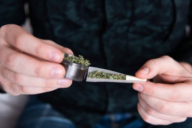 Kapatın. Uyuşturucu kullanımı. Marihuana hazırlayan ve yuvarlayan adam. Esrar saran bir adam. Uyuşturucu narkotik konsepti. Marihuanayı çakmakla yakan bağımlıya yakın..