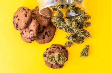 Kenevir otlu kurabiyeler CBD. Esrarlı kurabiyeler ve masada esrar tomurcukları. Gıda ve sarı arka planda tıbbi marihuana kullanımı.