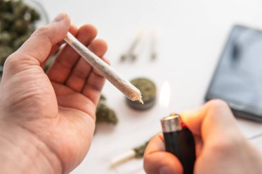 Elinde hafif marihuana, ot, beyaz masada esrar tomurcukları, kapat.,