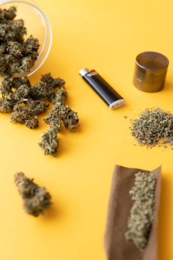 Üst Manzara. Kopyalama alanı için sarı arka planda esrar tomurcukları el ele tutuşur. Kenevirin yasallaştırılması. Blunt ve Lighters. Bitki öğütücü Taze marihuana. Kenevir tomurcuklarına ilişkin CBD ve THC.