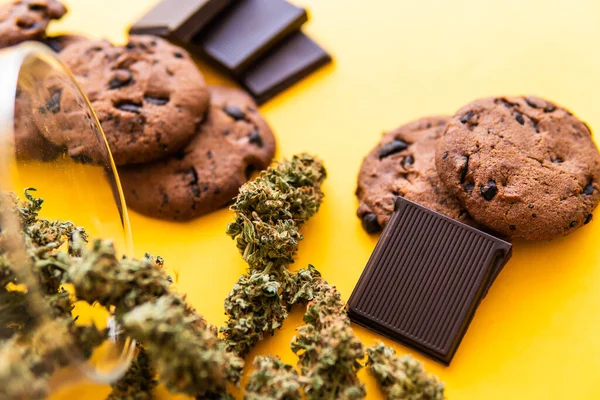 Cannabis Cbd Kruid Chocolade Koekjes Behandeling Van Medicinale Marihuana Voor — Stockfoto